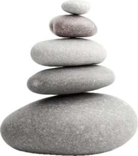 Our Purpose To Realize a Kirei World