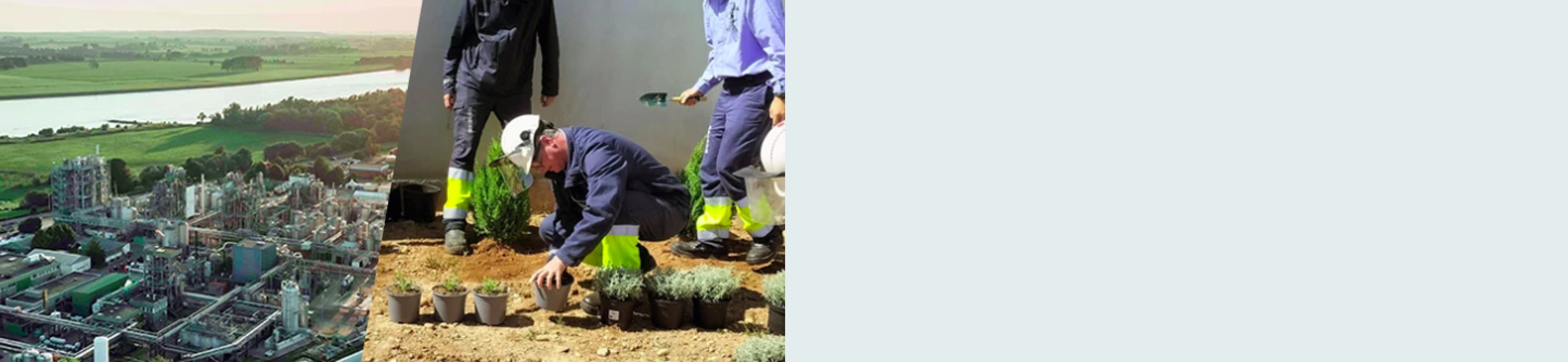 Milestones and progress