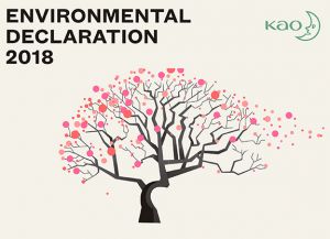 Environmental Declaration