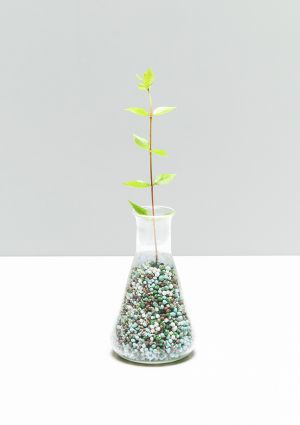 Quad Chemical Corporation and Kao Chemicals Europe reach distribution agreement for high performance fertilizer coating additives for the US market. 